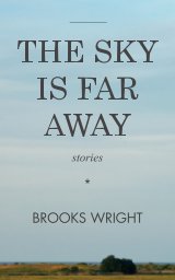 The Sky Is Far Away book cover