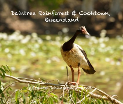 Daintree Rainforest & Cooktown, Queensland Frances Schlingemann-Høvig book cover