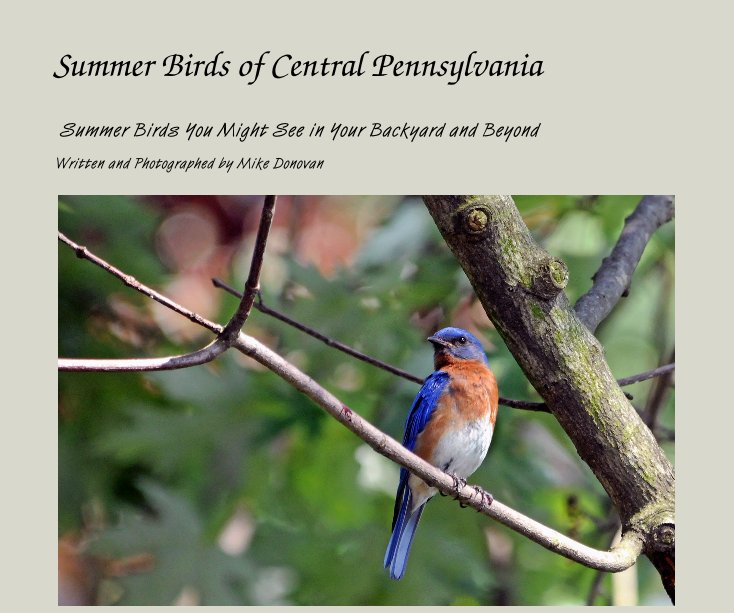 View Summer Birds of Central Pennsylvania by Written and Photographed by Mike Donovan