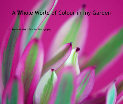 A Whole World of Colour in my Garden book cover