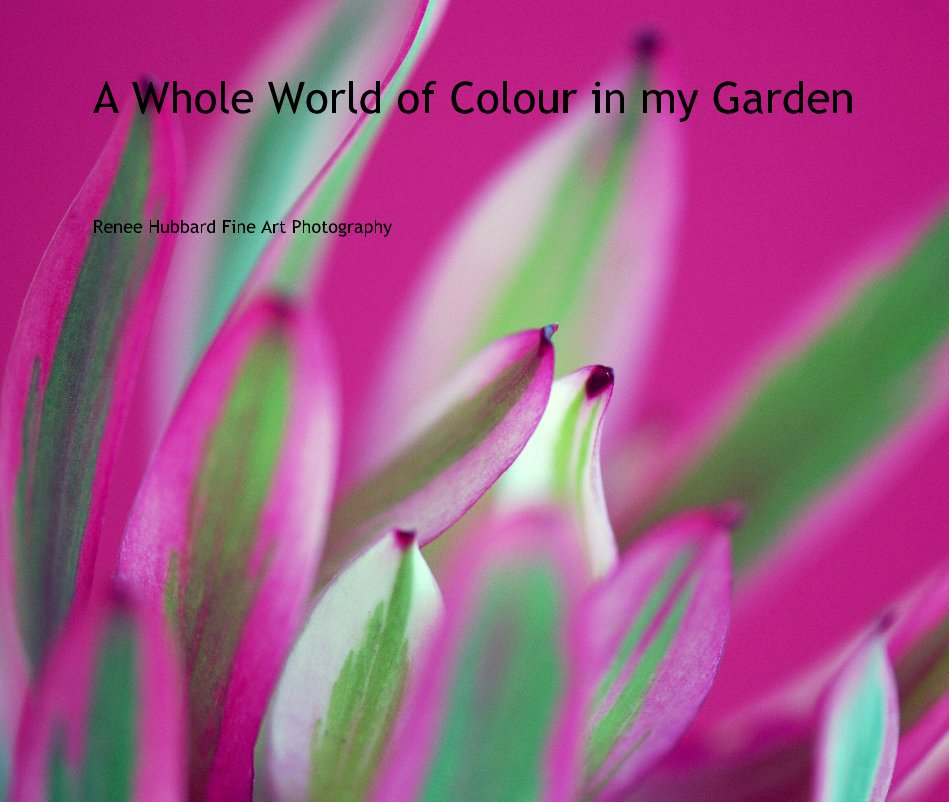 Ver A Whole World of Colour in my Garden por Renee Hubbard Fine Art Photography