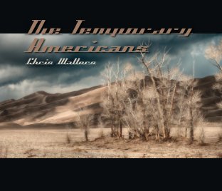 The Temporary Americans book cover