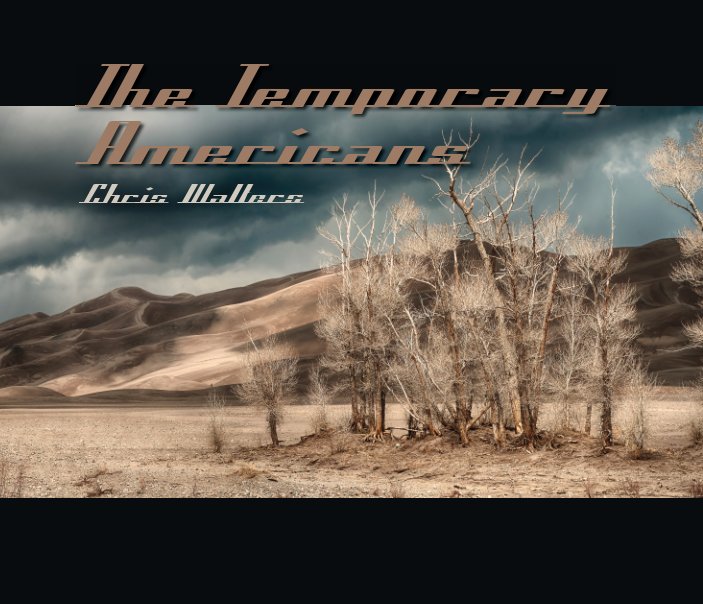 View The Temporary Americans by Chris Walters