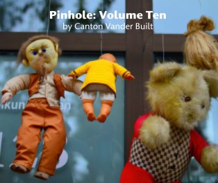 Pinhole: Volume Ten book cover
