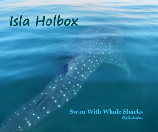 Isla Holbox book cover