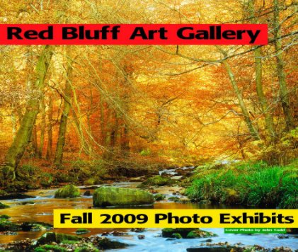 Red Bluff Art Gallery book cover