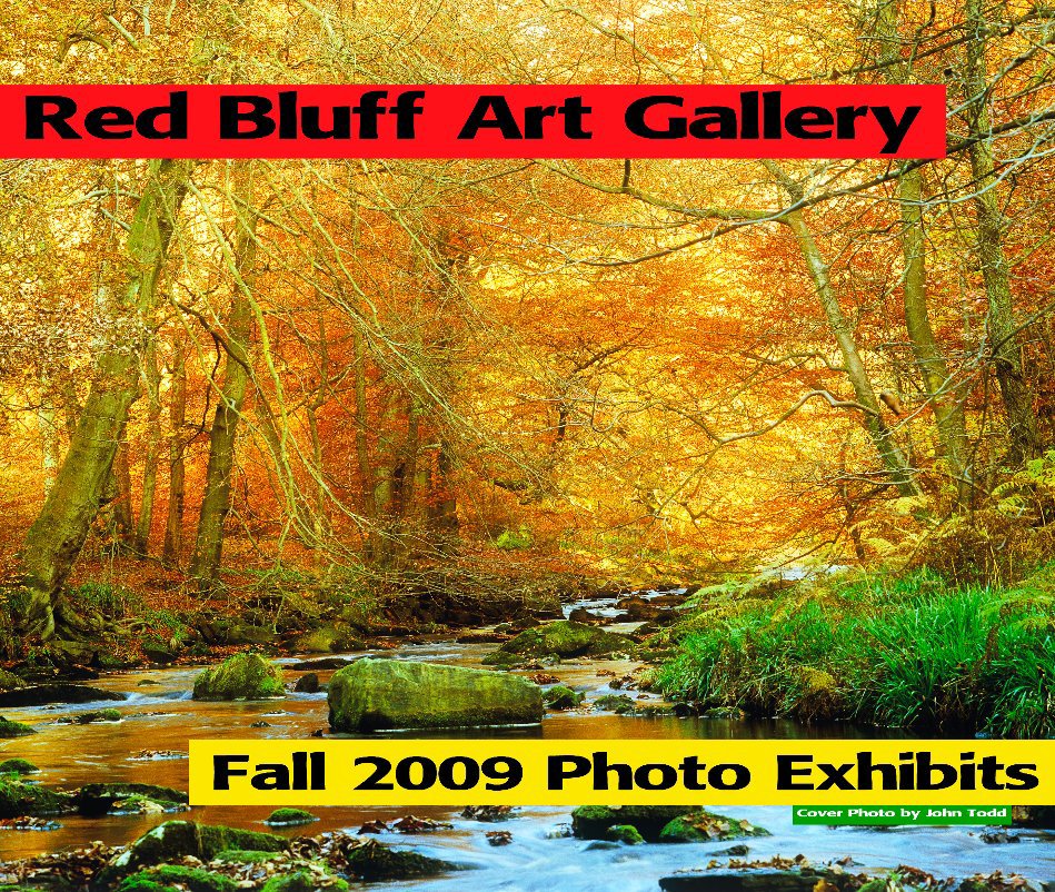 View Red Bluff Art Gallery by Phil Dynan