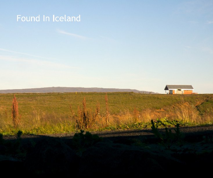 View Found In Iceland by Petr Vlk
