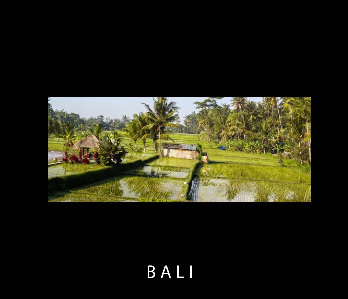 View BALI by vincent BELUFFI