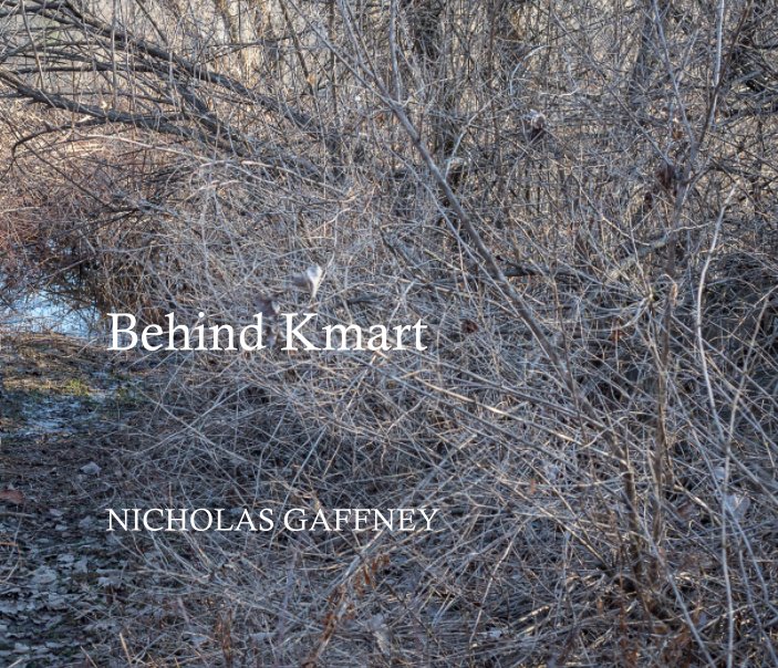 Visualizza Behind Kmart di Nicholas Gaffney