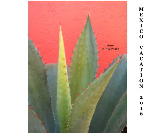 Mexico Vacation 2016 book cover