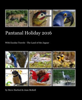 Pantanal Holiday 2016 book cover