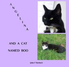 Angelina And A Cat Named Boo book cover