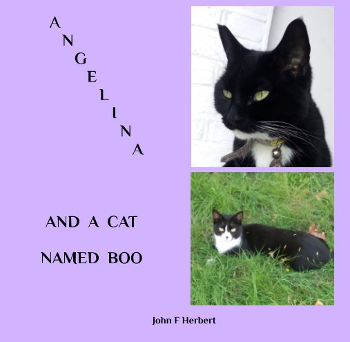 View Angelina And A Cat Named Boo by John F Herbert