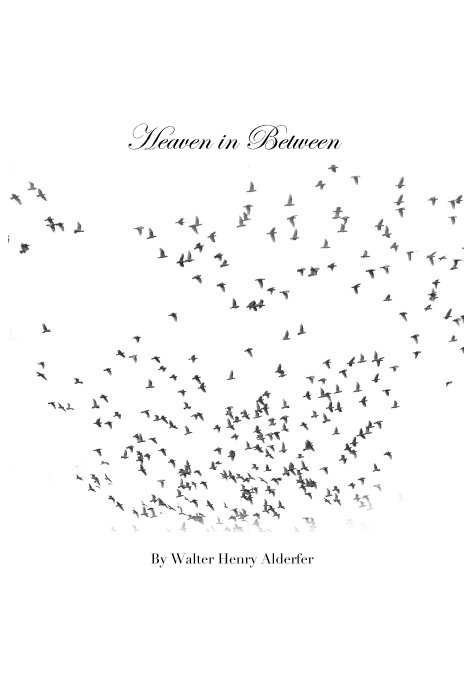 View Heaven in Between by Walter Henry Alderfer