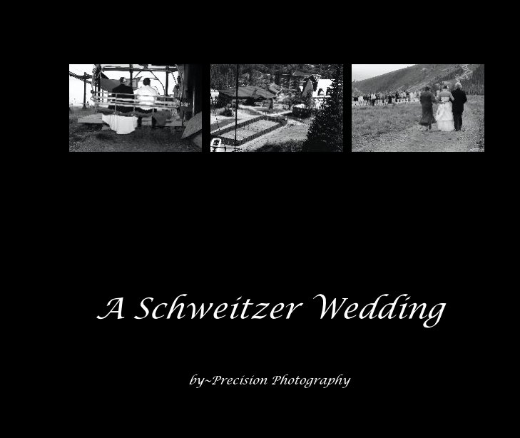 Ver A Schweitzer Wedding por by~Precision Photography