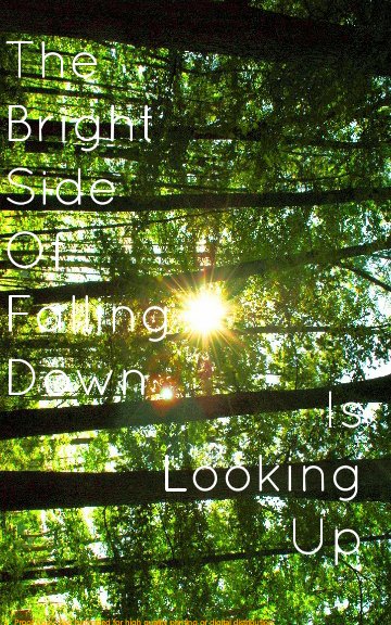 View The Bright Side of Falling Down Is Looking Up by Mark T Bragg Jr