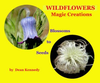 WILDFLOWERS - Magic Creations book cover