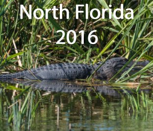 North Florida 2016 book cover