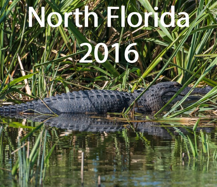 Ver North Florida 2016 por John Craine