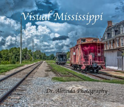 Visual Mississippi book cover