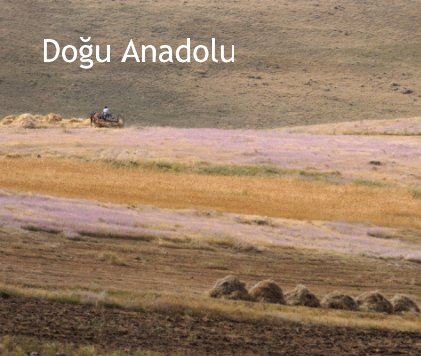 Doğu Anadolu book cover