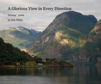 A Glorious View in Every Direction book cover