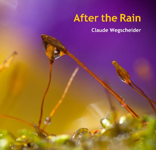 Visualizza After the Rain di Claude Wegscheider
