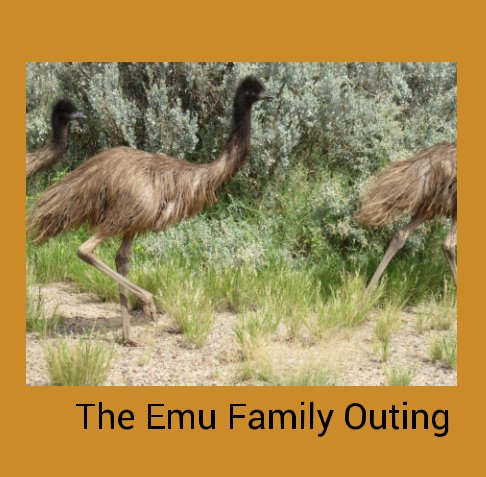 View The Emu Family Outing by Dianne Parslow