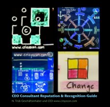 CEO Consultant Reputation & Recognition-Guide book cover