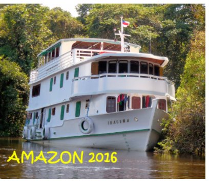 AMAZON 2016 book cover