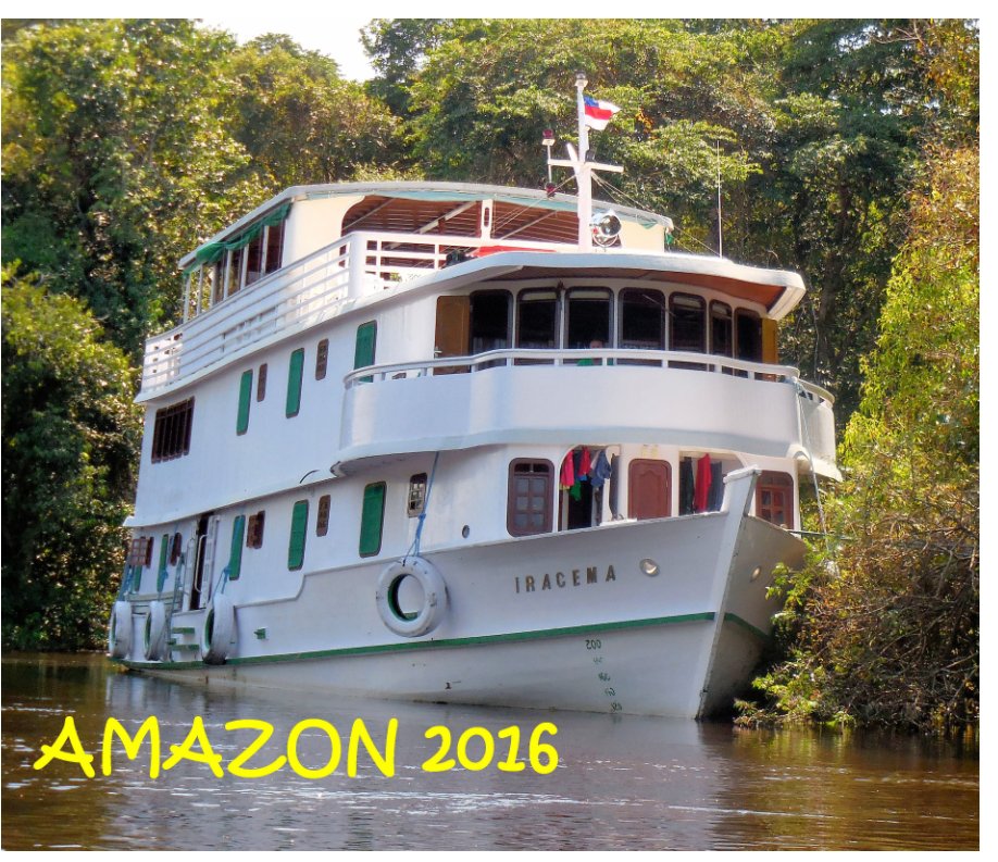 View AMAZON 2016 by Larry Jensen