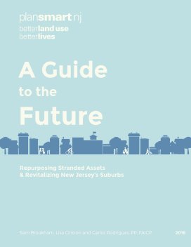 A Guide to the Future book cover