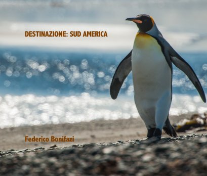 Destinazione: Sud America book cover