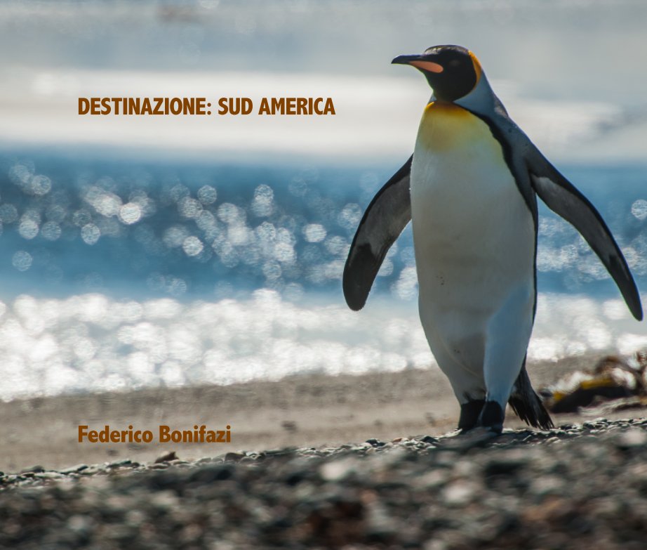 Ver Destinazione: Sud America por Federico Bonifazi