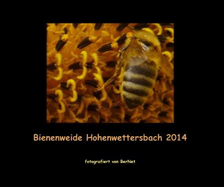 Bienenweide Hohenwettersbach 2014 book cover