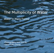 The Multiplicity of Water book cover