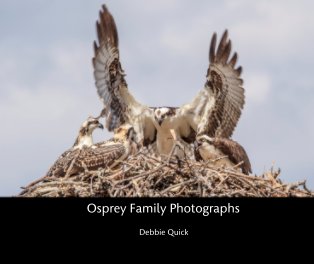 Osprey Family Photographs