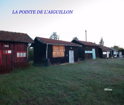 LA POINTE DE L'AIGUILLON book cover