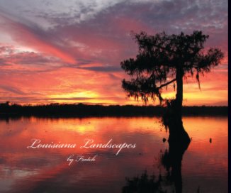 Louisiana Landscapes book cover