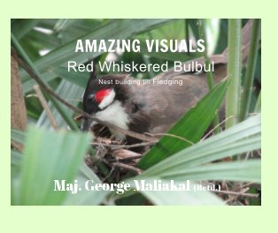 Amazing Visuals -
Red Whiskered Bulbul book cover