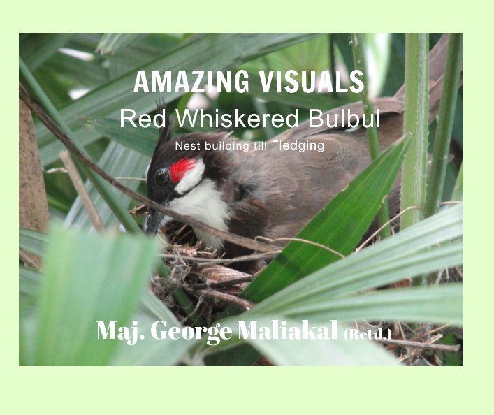 Ver Amazing Visuals -
Red Whiskered Bulbul por Maj. George Maliakal (Retd.)