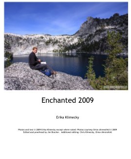 Enchanted 2009 book cover