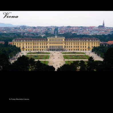 Viena book cover