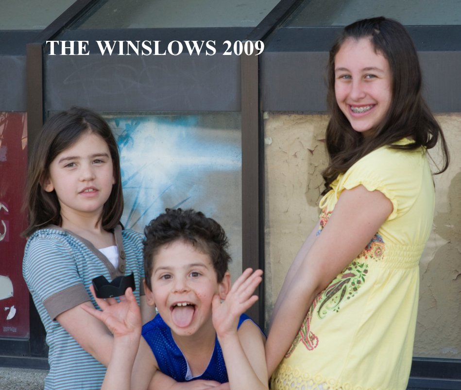 View THE WINSLOWS 2009 by THOMAS HYMAN