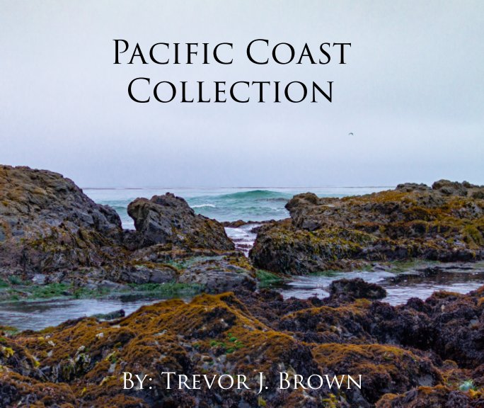 View Pacific Coast Collection by Trevor J. Brown