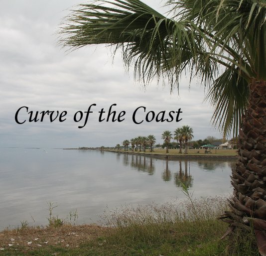 View Curve of the Coast by C.J. Garriott
