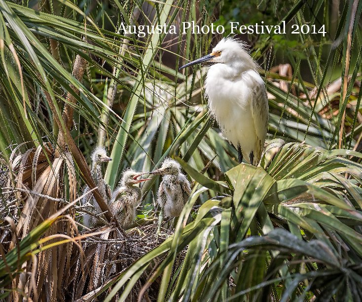 Ver Augusta Photo Festival 2014 v2 por Various by David Lindsey