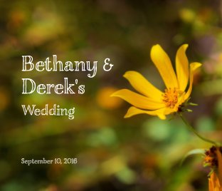 Bethany & Derek's Wedding book cover