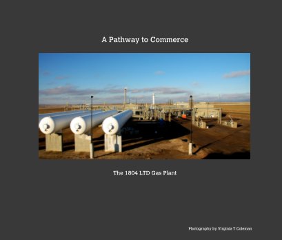 A Pathway To Commerce book cover